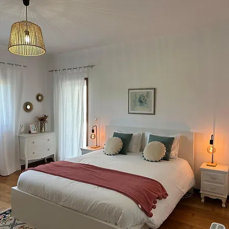 Casa Camelias * Авейру