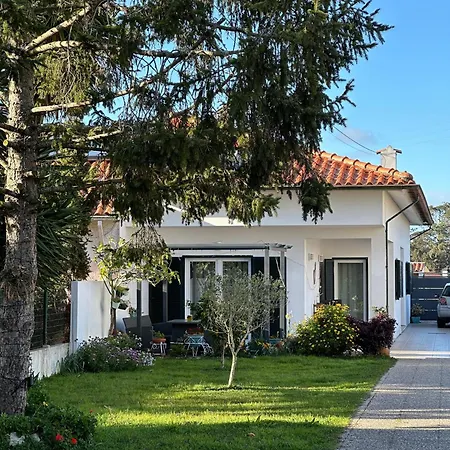 Дом отдыха Casa Camelias Авейру