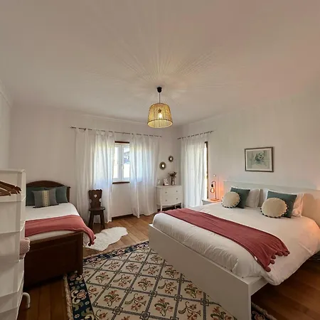 Vakantiehuis Casa Camelias Aveiro