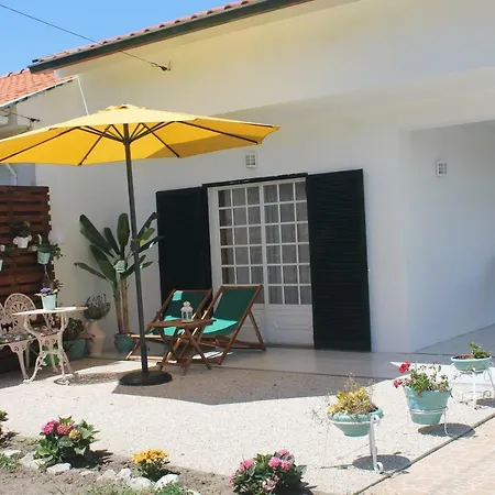Holiday home Casa Camelias Aveiro