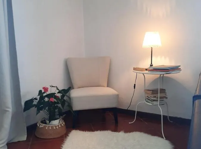 Casa Camelias * Aveiro