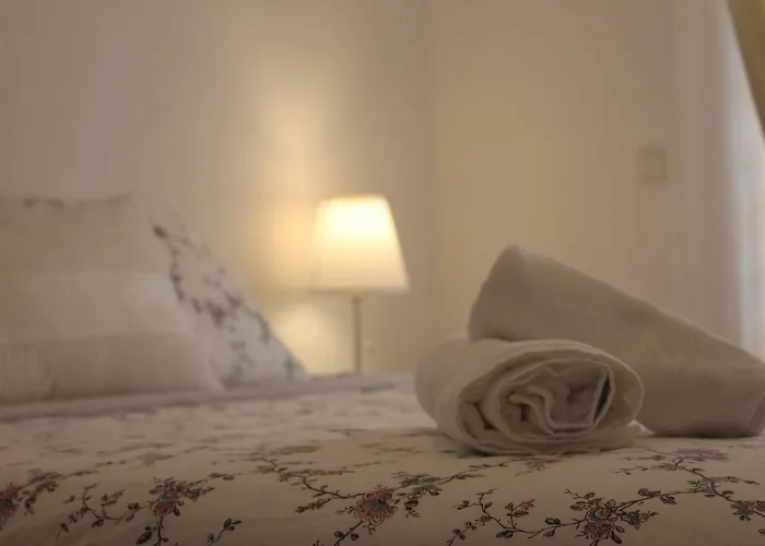 Casa Camelias * Aveiro