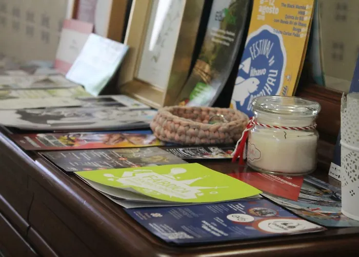 Casa Camelias Aveiro