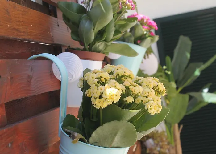 Casa Camelias Ferienhaus *